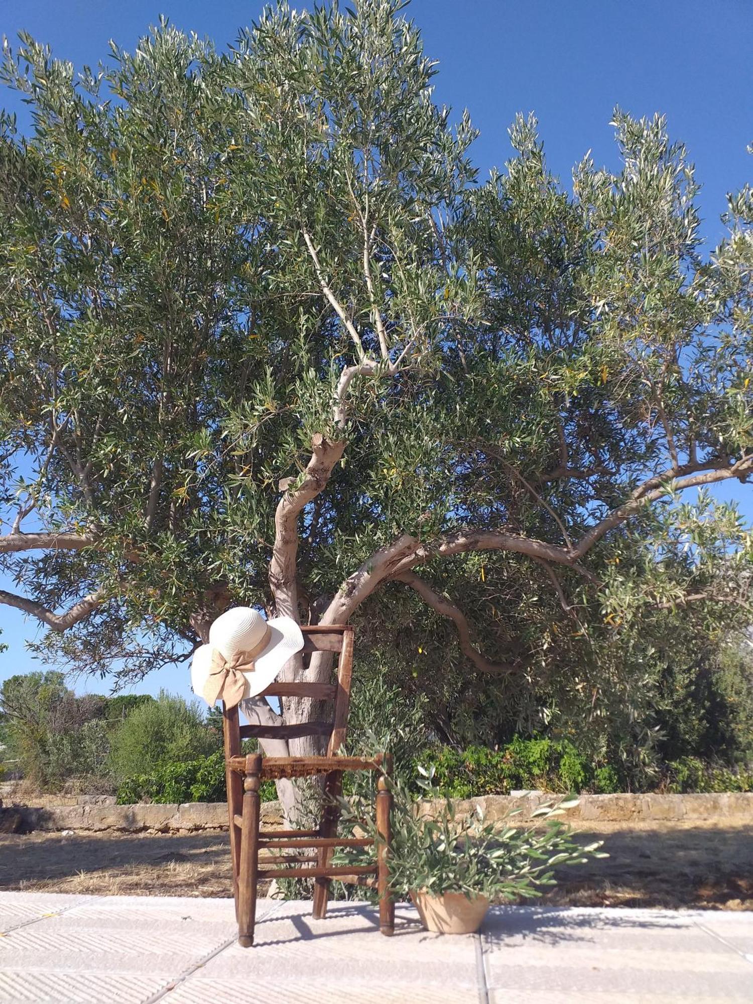 טראסיני Inkantu B&B חדר תמונה